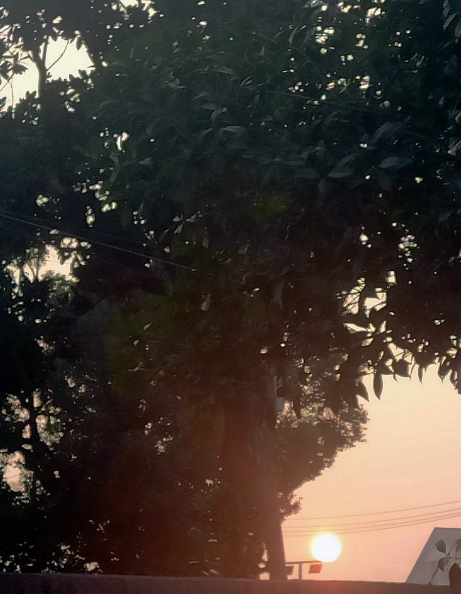 漫步星城 走街串巷（314）疫情期间:全民歌声温暖人心