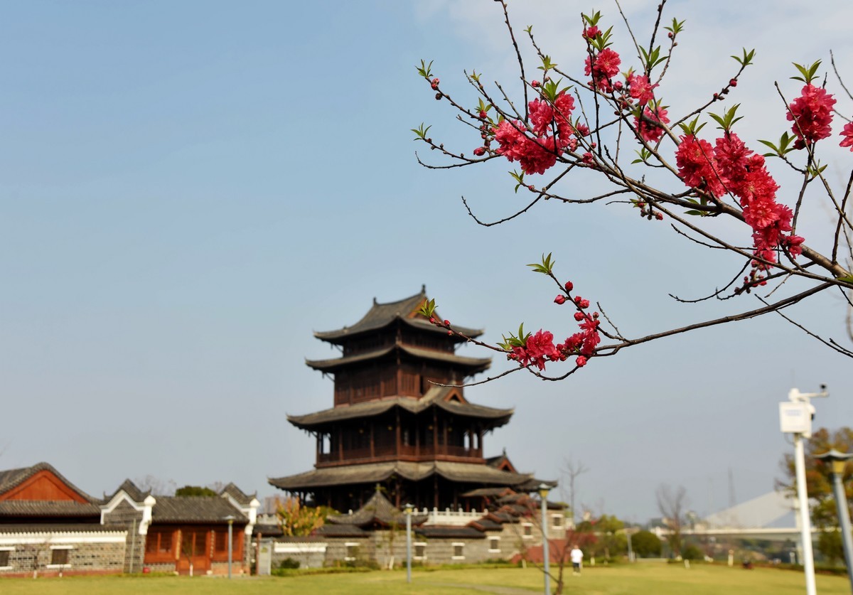 又一年春季拍挑花