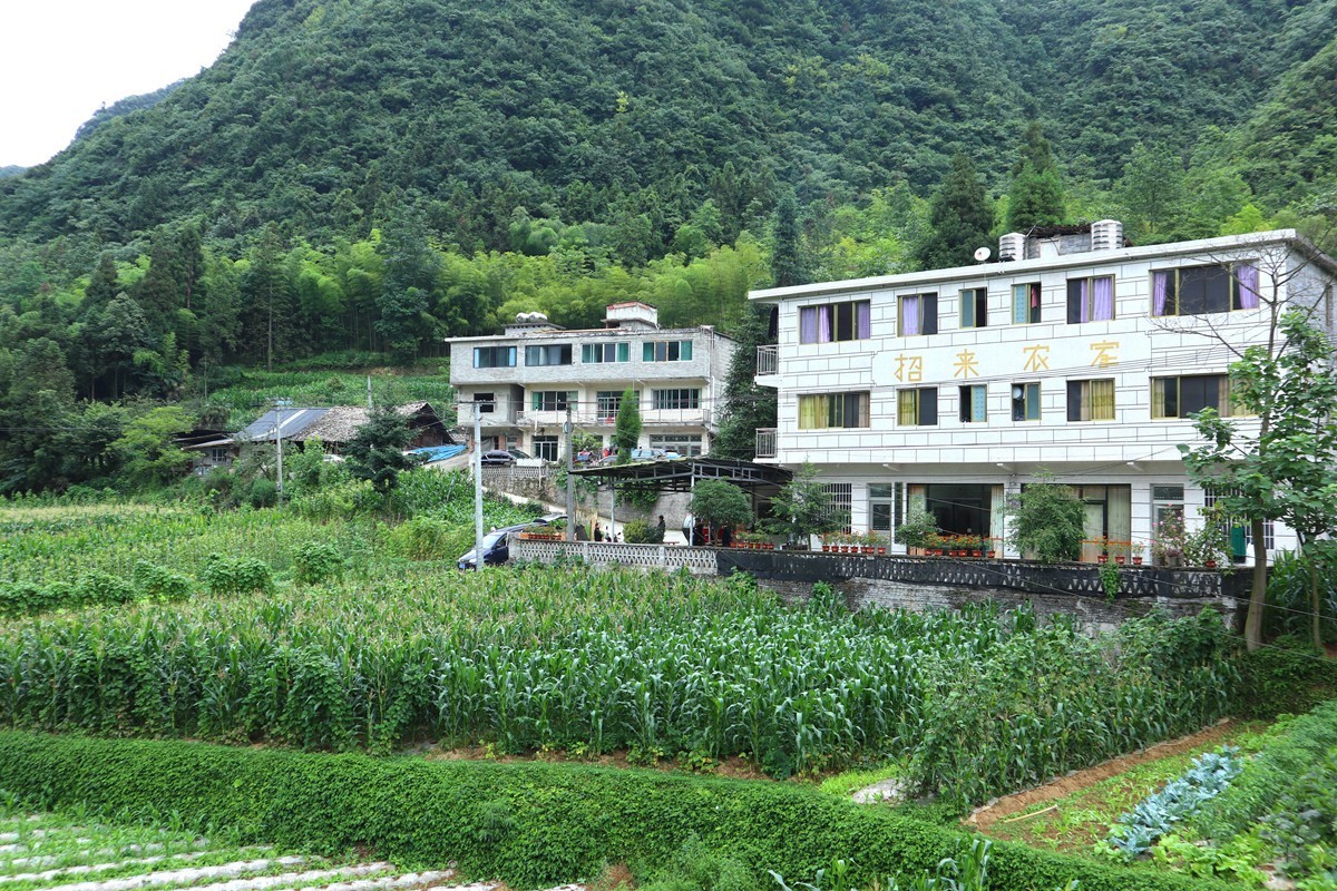 桐梓九坝山堡村新消息图片