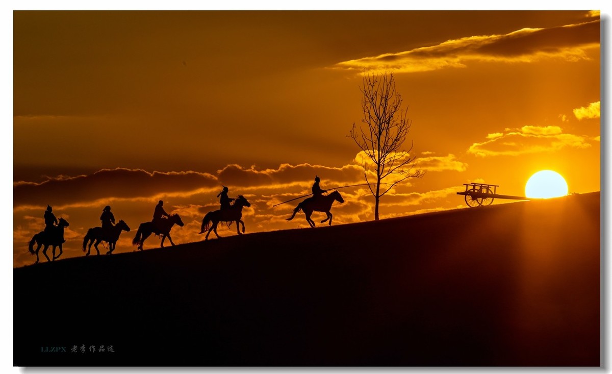 金秋坝上拍骆驼