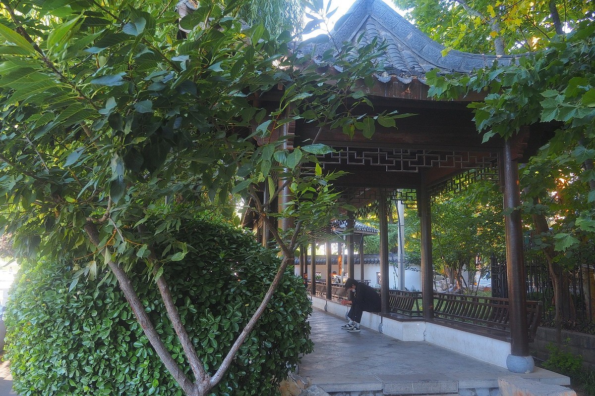 民心河畔的小公园—裕园