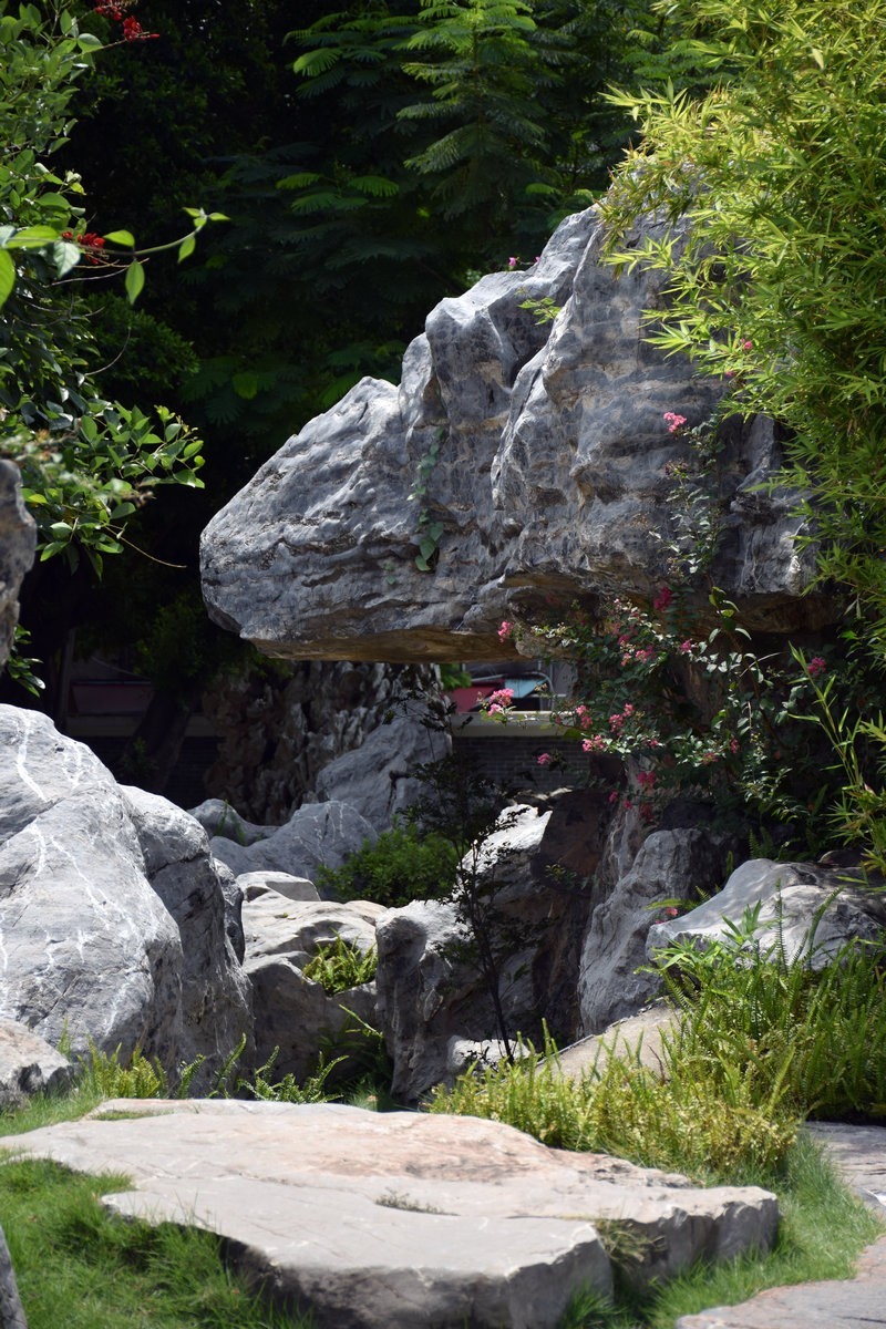 2023秋 广东行（15）岭南水乡韵味