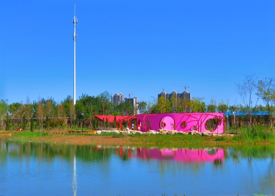 《不老松：纪实摄影》大美沧州系列報道：(2)街景、公园景！好看就拍！