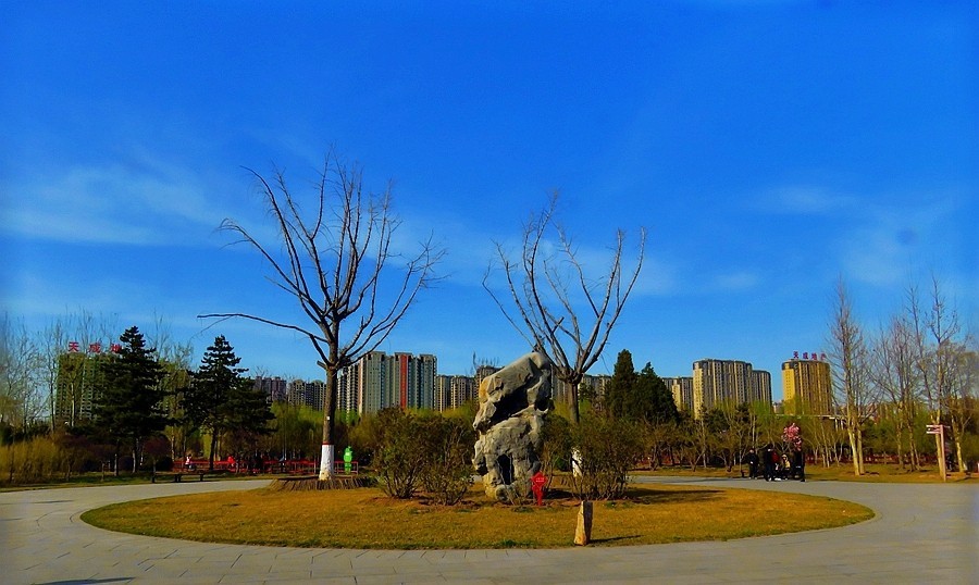 《不老松：纪实摄影》大美沧州系列報道：(2)街景、公园景！好看就拍！