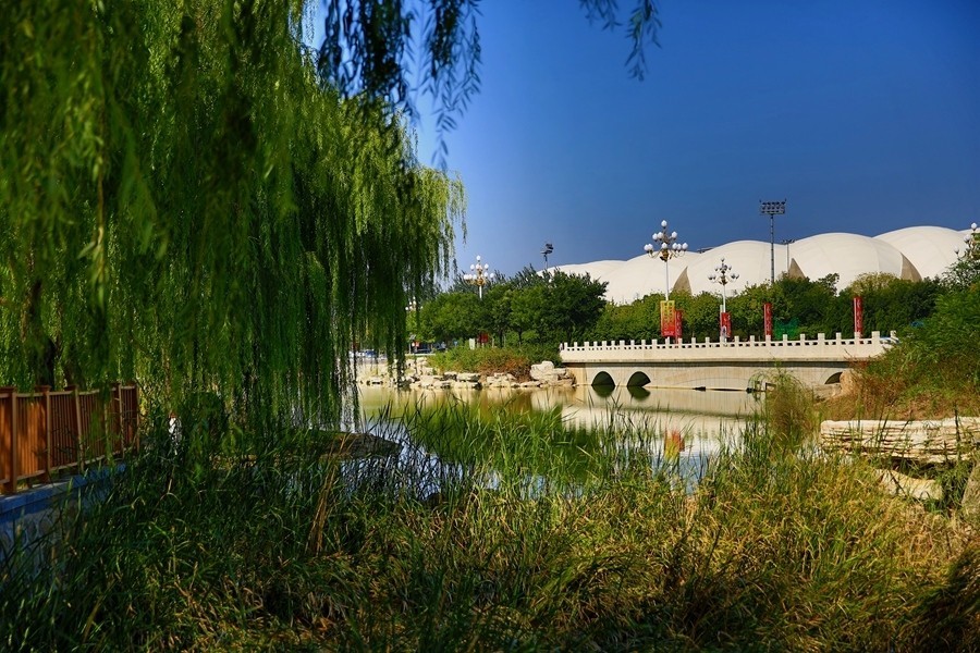 《不老松：纪实摄影》大美沧州系列報道：(2)街景、公园景！好看就拍！