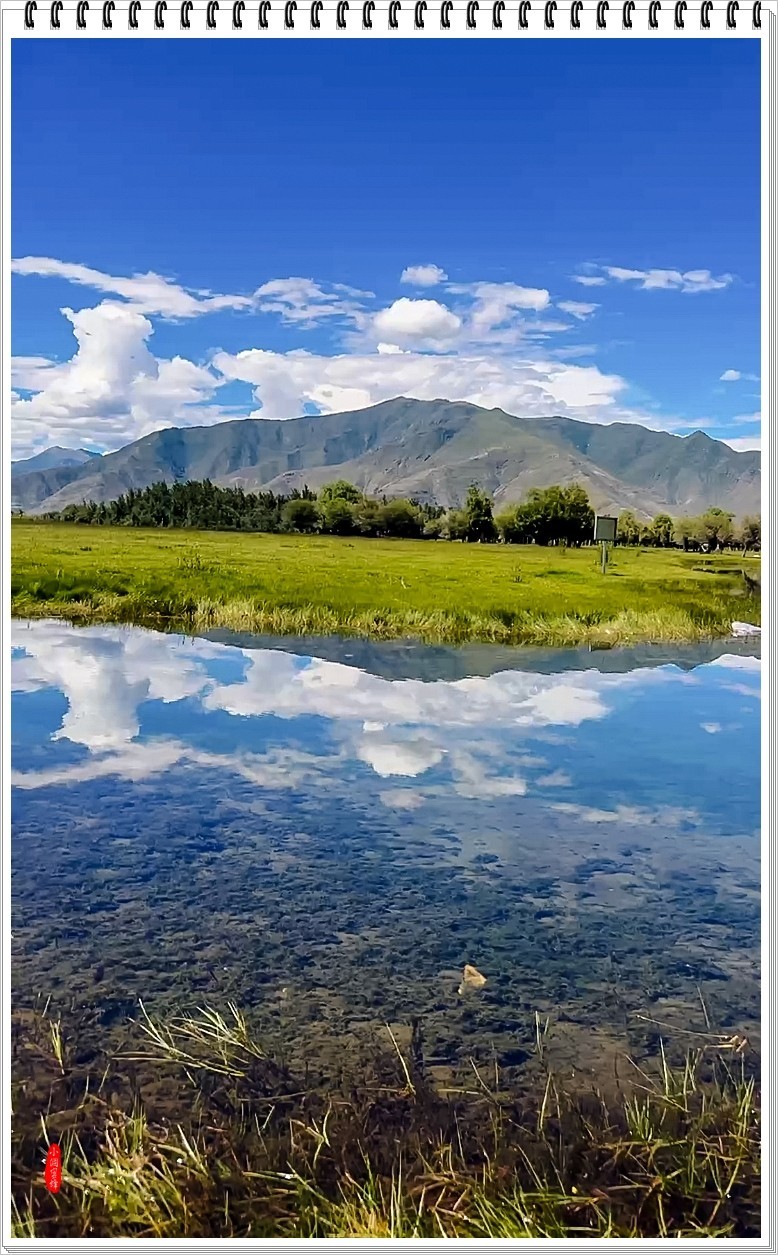 2024年-伊利风光纪实抓拍-0629