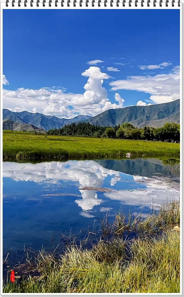 2024年-伊利风光纪实抓拍-0629