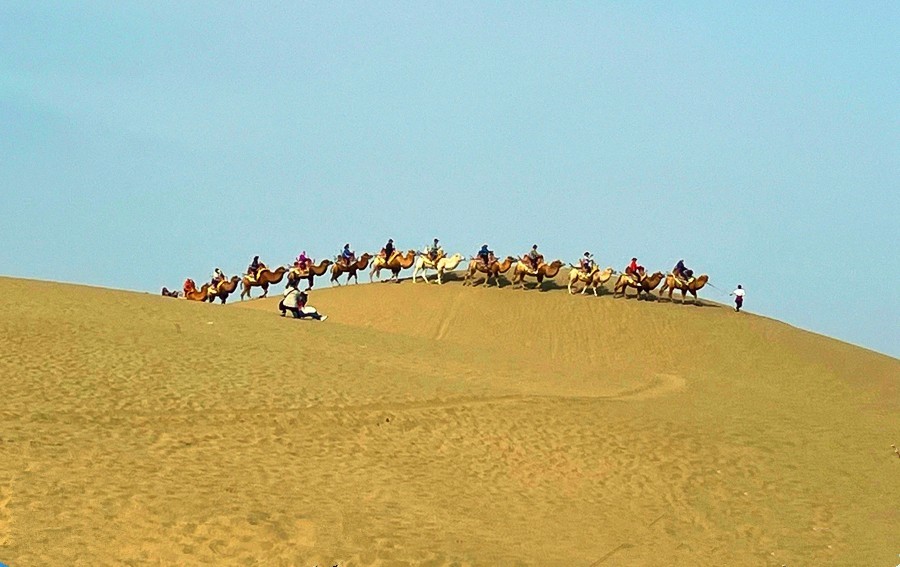 《不老松：纪实摄影》【山河锦绣】南疆游摄！(6)尉犁县罗布人村寨大漠驼隊！
