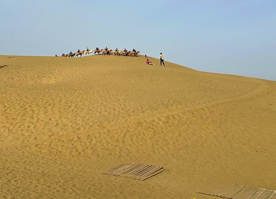 《不老松：纪实摄影》【山河锦绣】南疆游摄！(6)尉犁县罗布人村寨大漠驼隊！