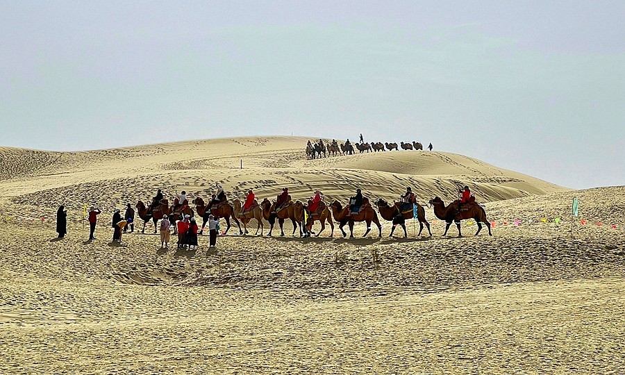 《不老松：纪实摄影》【山河锦绣】南疆游摄！(6)尉犁县罗布人村寨大漠驼隊！