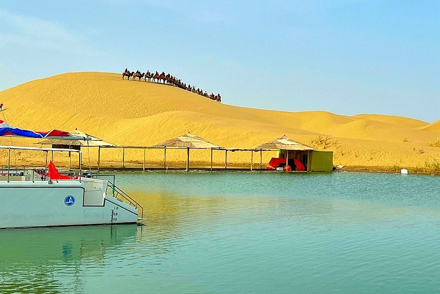 《不老松：纪实摄影》【山河锦绣】南疆游摄！(6)尉犁县罗布人村寨大漠驼隊！