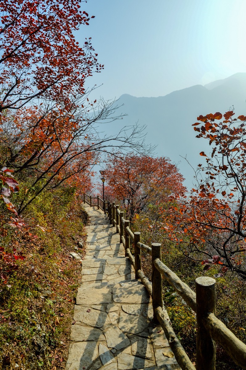 北京坡峰岭游拍110522f