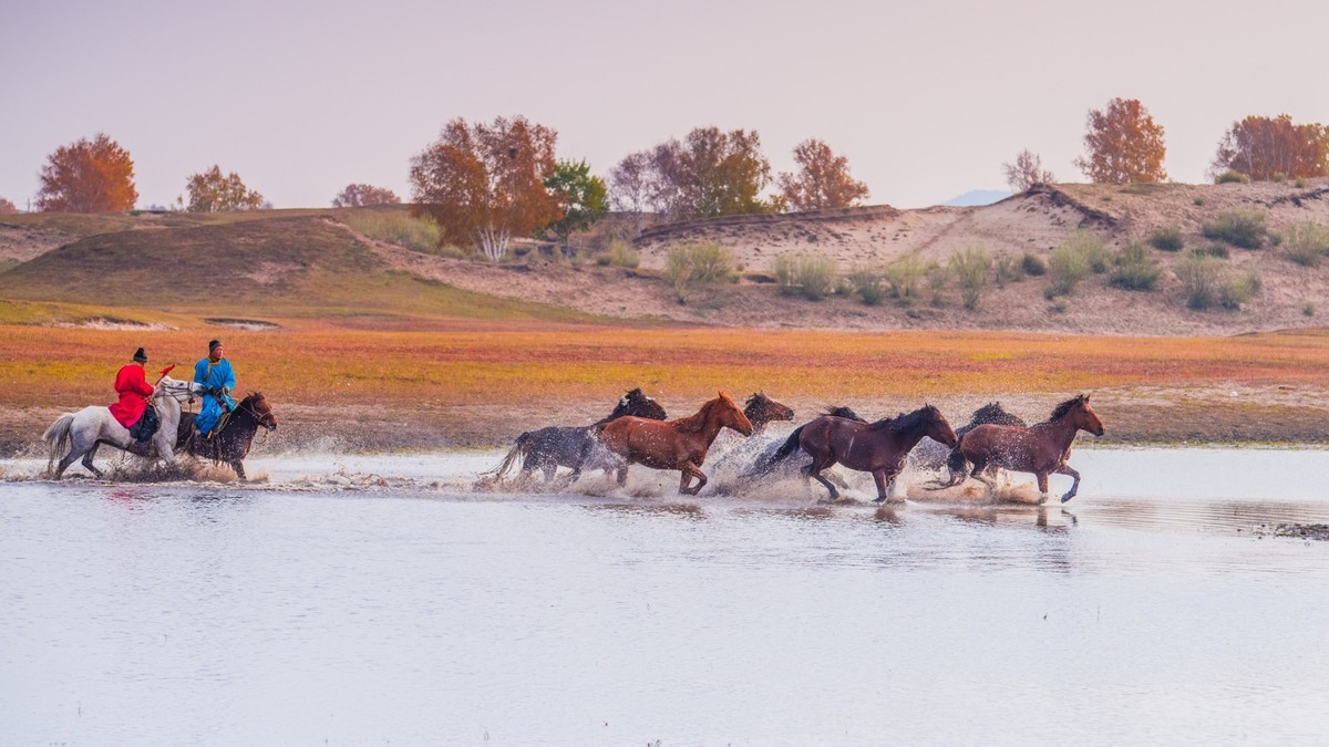 秋天的克什克腾旗------疾马飞浪