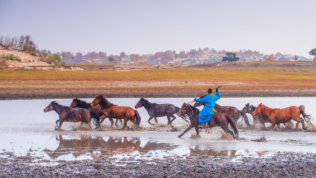 秋天的克什克腾旗------疾马飞浪