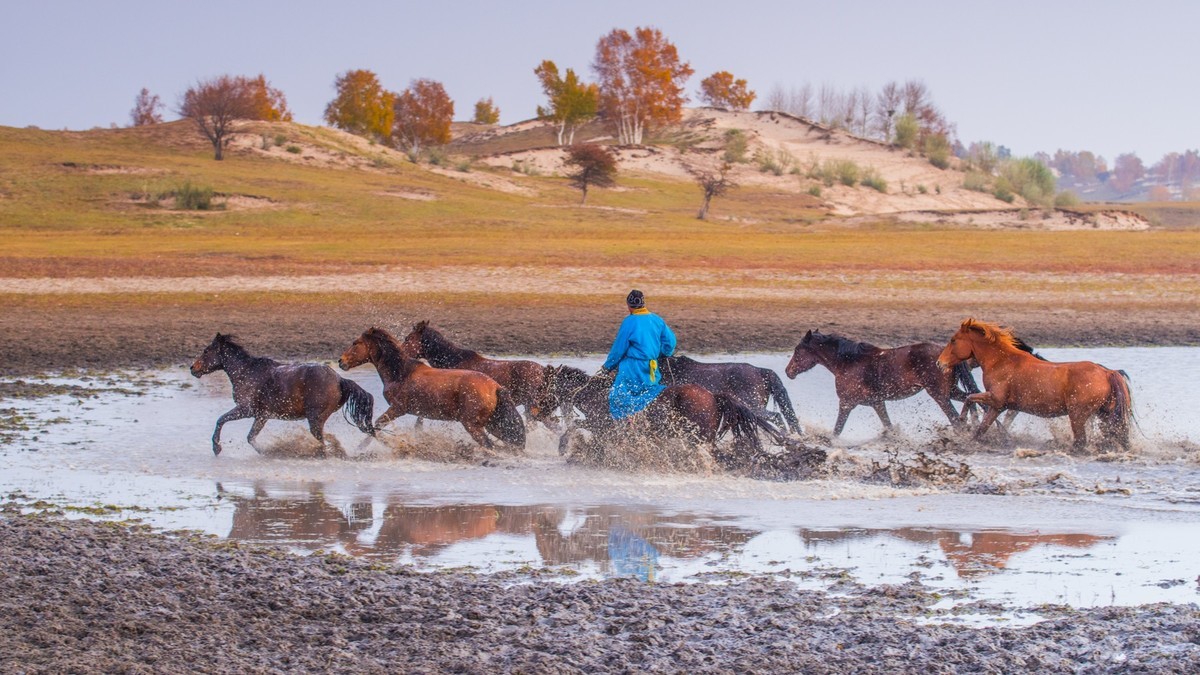 秋天的克什克腾旗------疾马飞浪