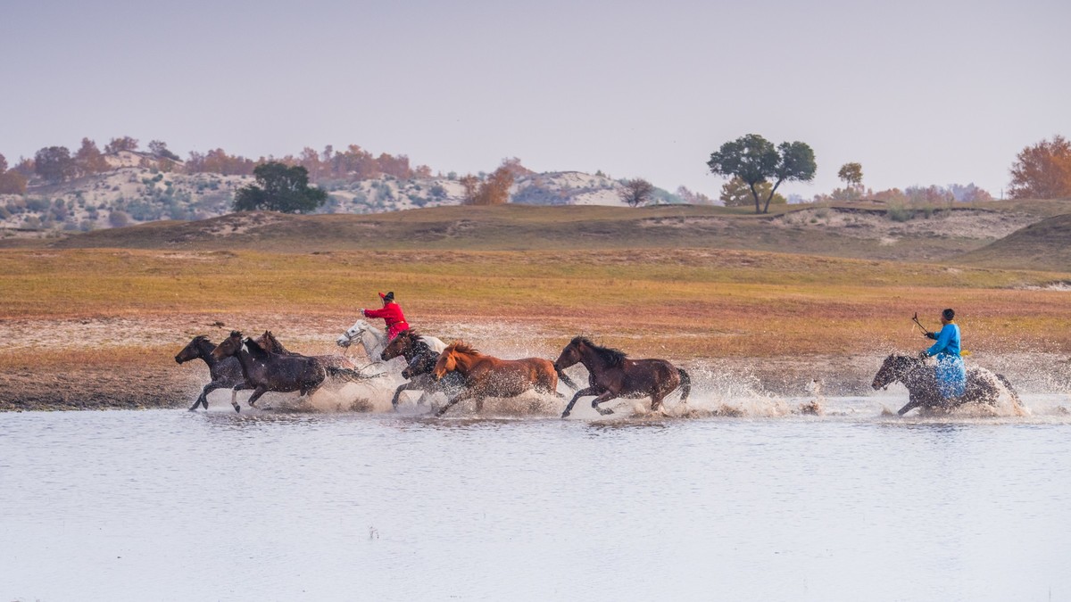 秋天的克什克腾旗------疾马飞浪