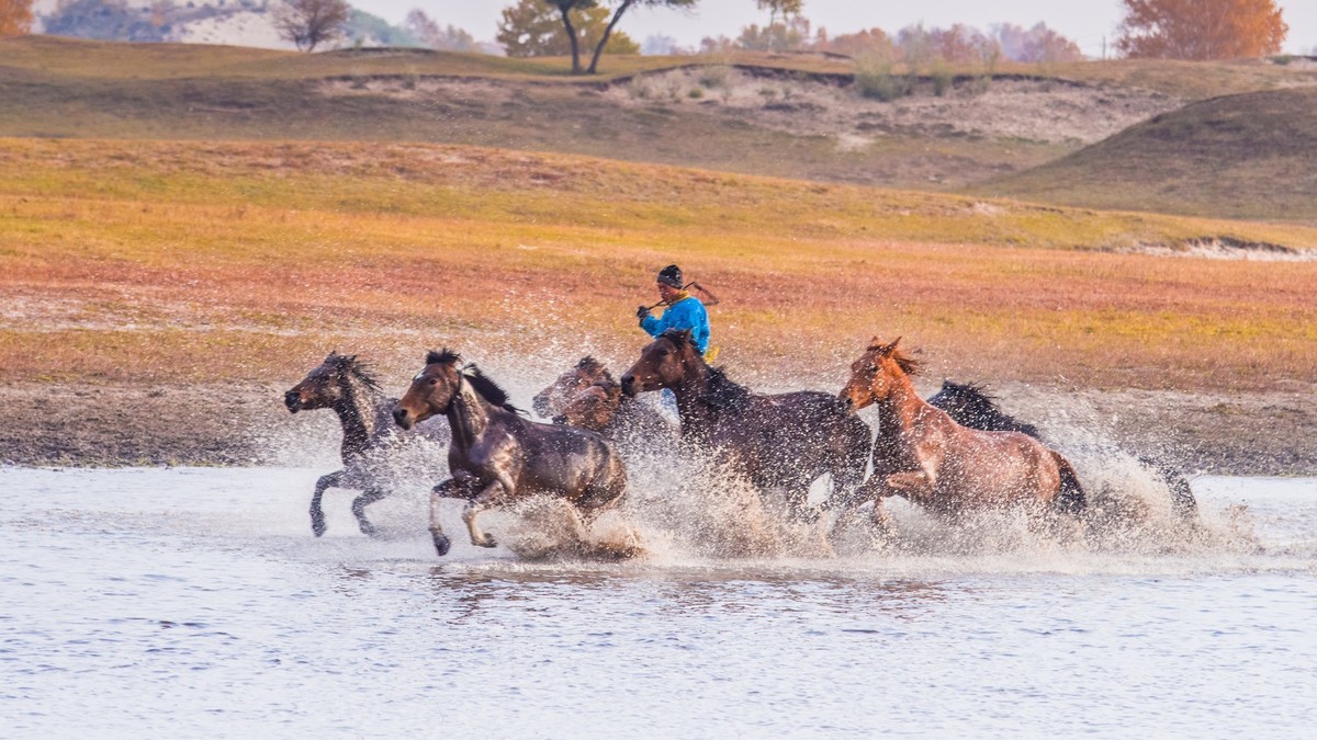 秋天的克什克腾旗------疾马飞浪