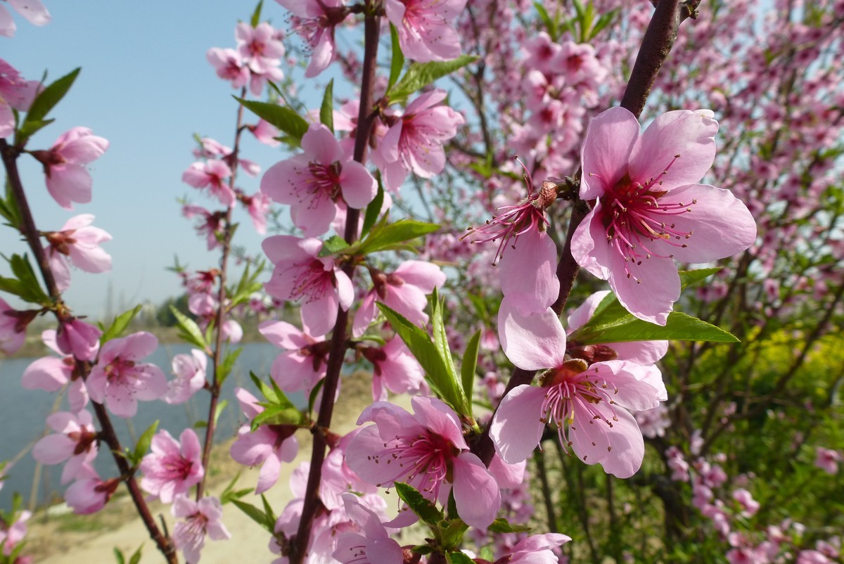 松下zs15 的库存片。