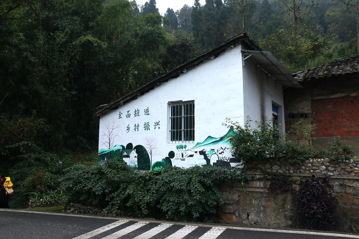 綦江赶水岔滩新农村（一）