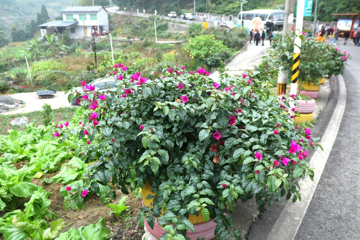 綦江赶水岔滩新农村（一）