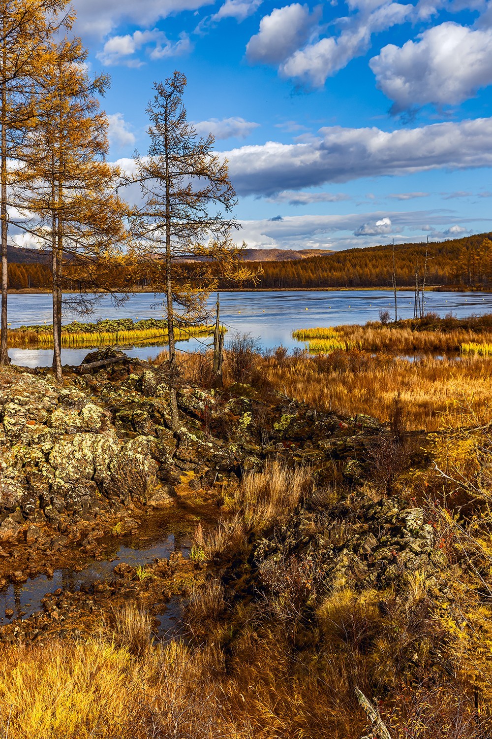 旅游记录 ：内蒙古 · 兴安盟 · 阿尔山 · 杜鹃湖