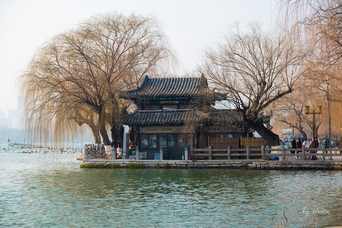 冬日大明湖（5）