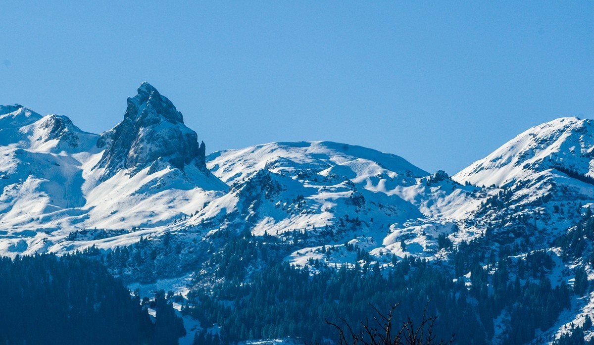 冬来观山 (Walenstadtberg) （瑞士）