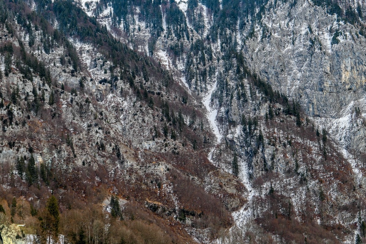 冬来观山 (Walenstadtberg) （瑞士）