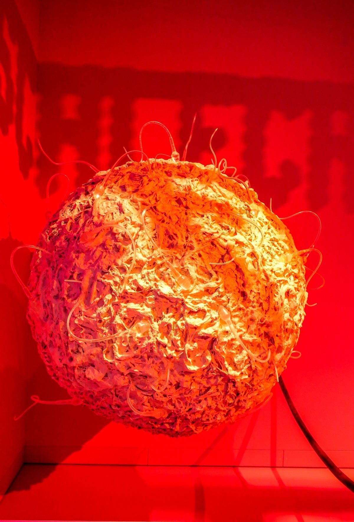 动物静摄（博物馆标本)