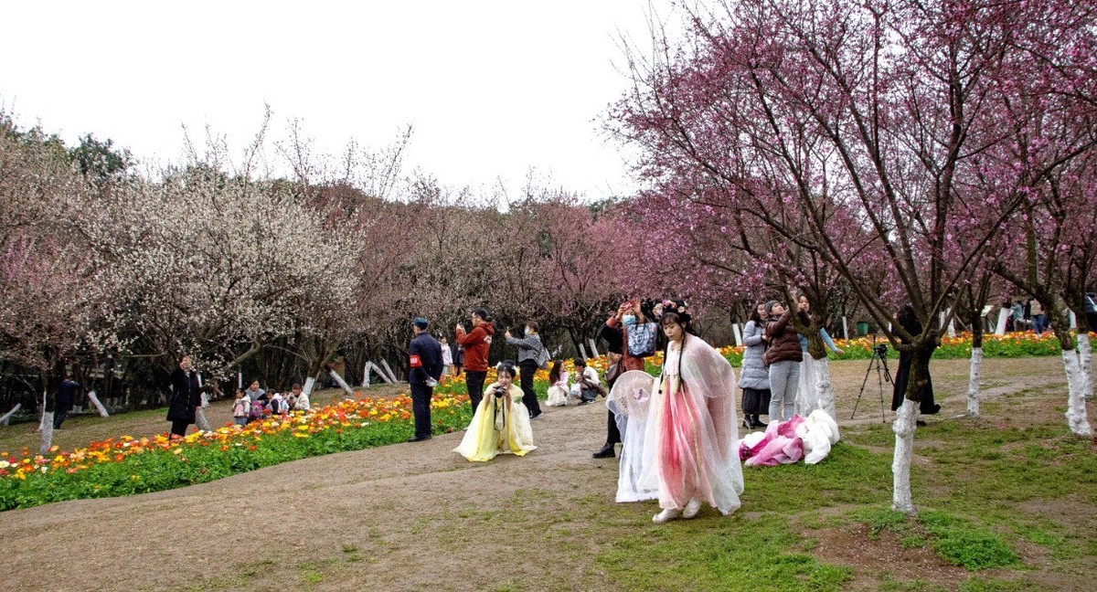 2025.2.26，游成都植物园1（人像）。