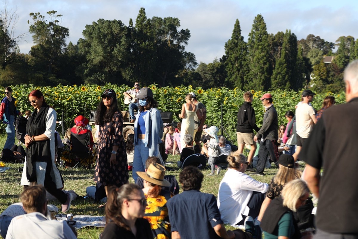 向日葵庄园随拍