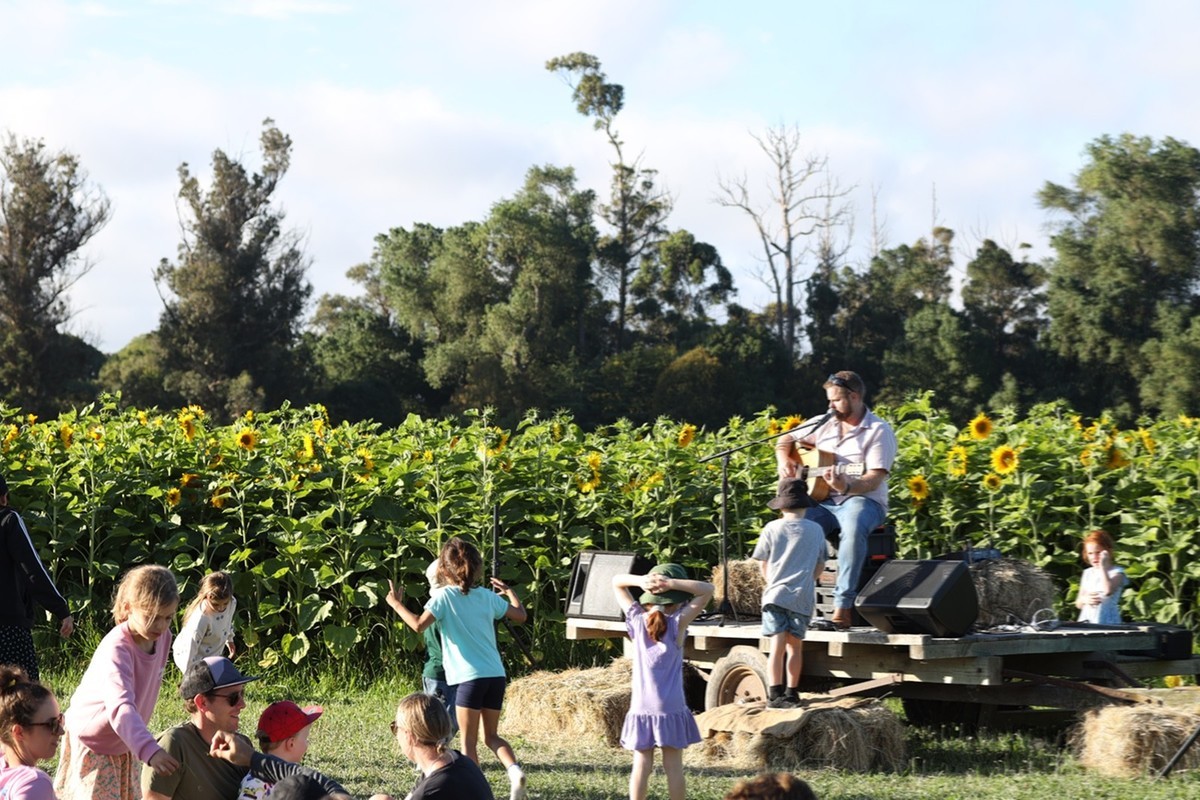 向日葵庄园随拍