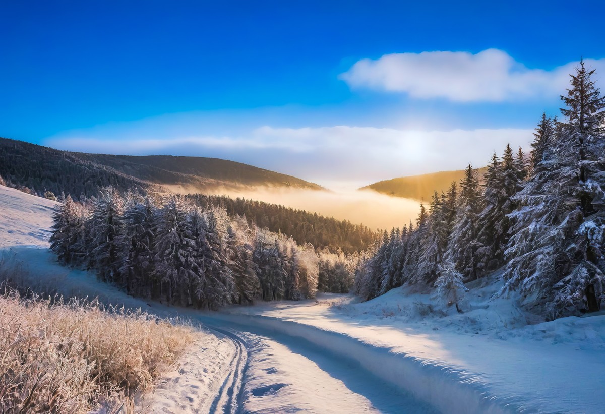 五彩斑斓美不胜收