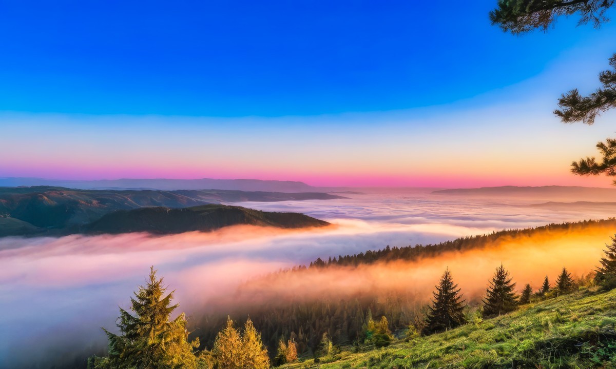 五彩斑斓美不胜收