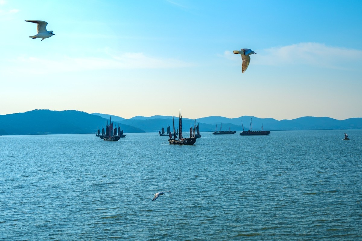 江南行-无锡太湖-帆船及其它(10)