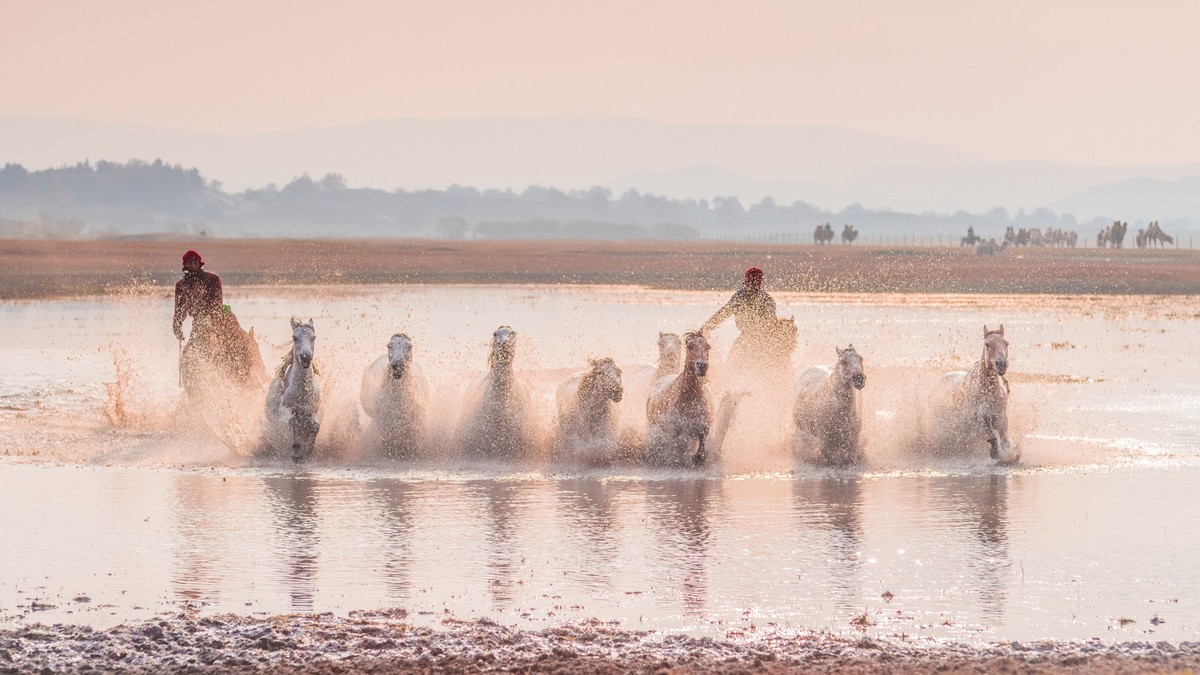 秋天的克什克腾旗------疾马飞浪