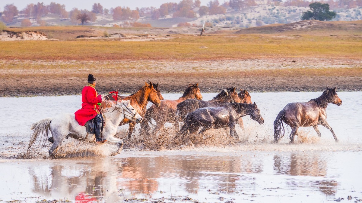 秋天的克什克腾旗------疾马飞浪
