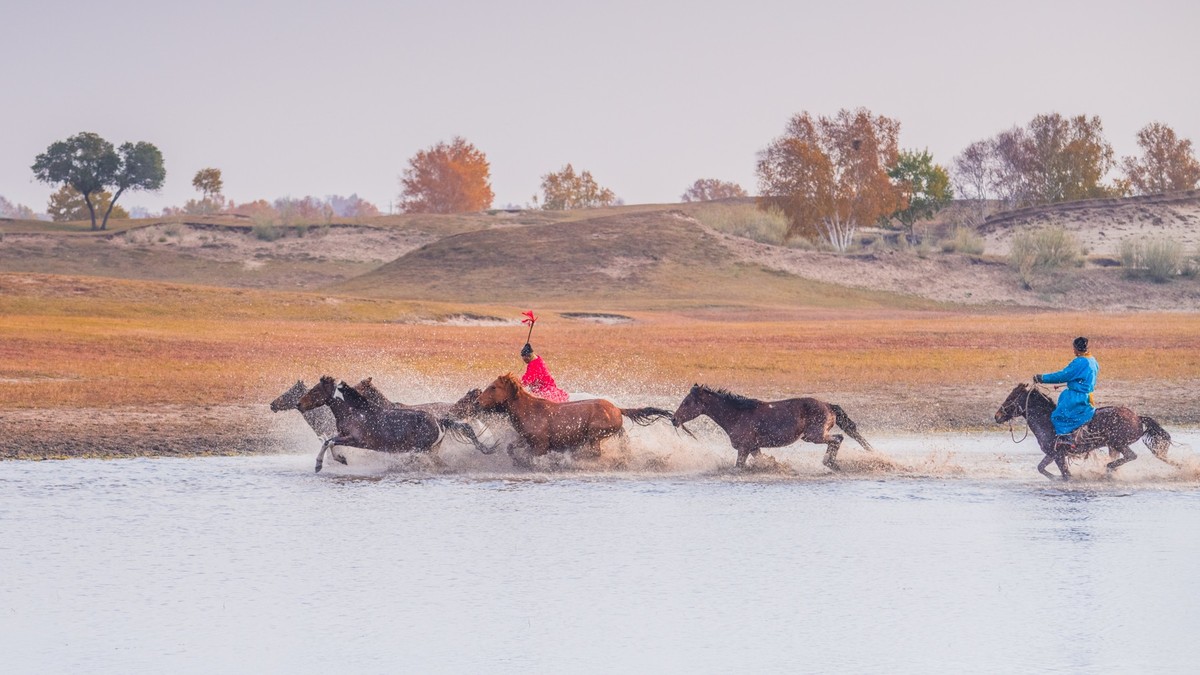 秋天的克什克腾旗------疾马飞浪