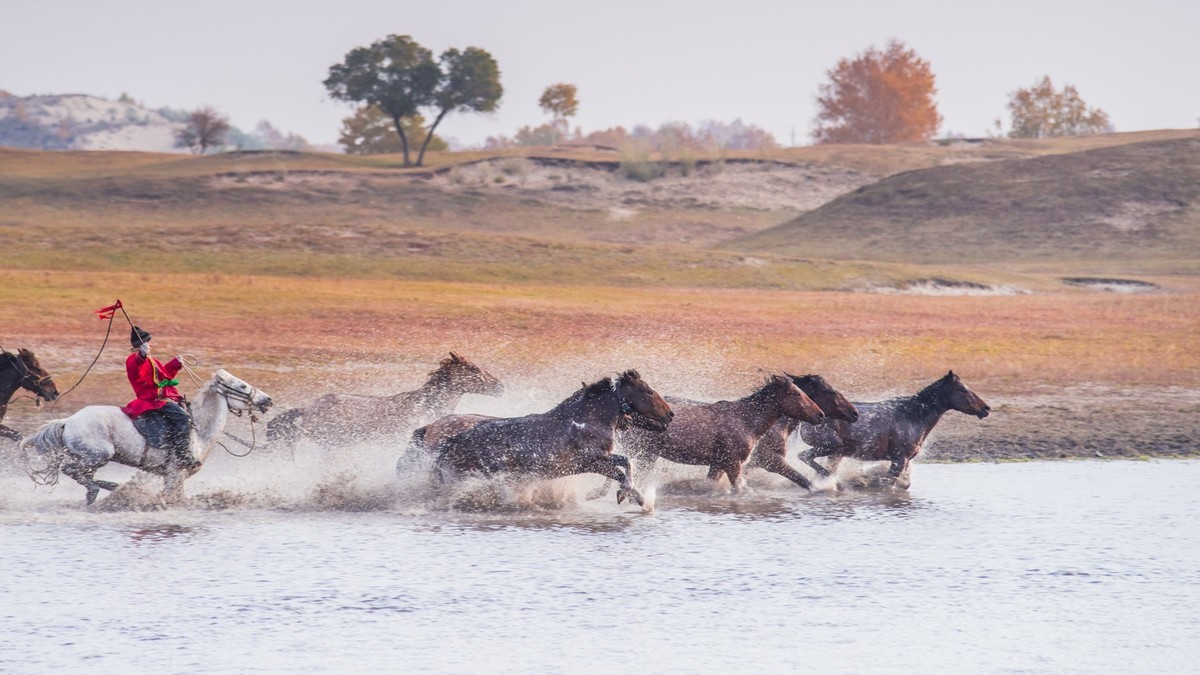 秋天的克什克腾旗------疾马飞浪