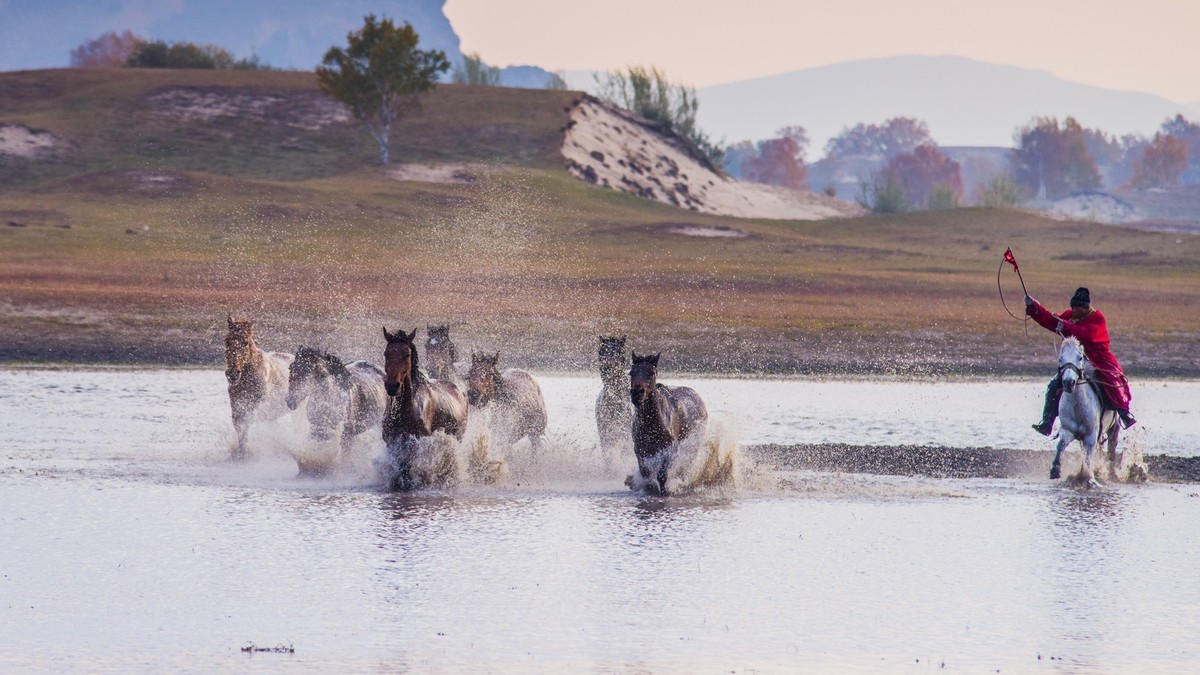 秋天的克什克腾旗------疾马飞浪