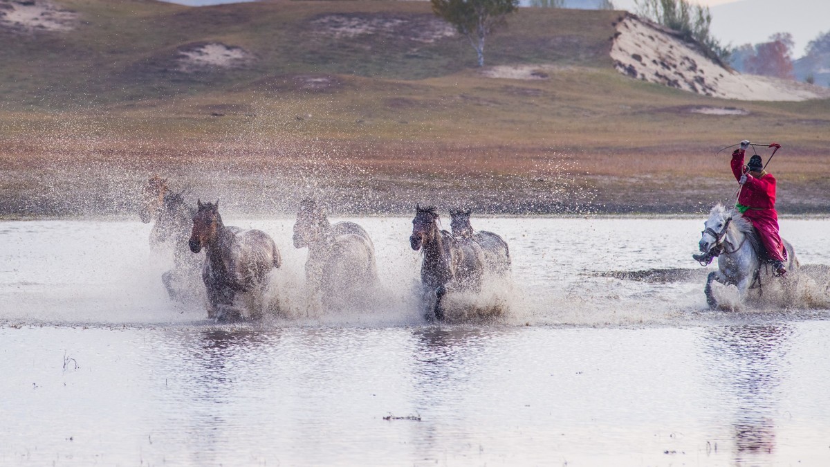 秋天的克什克腾旗------疾马飞浪