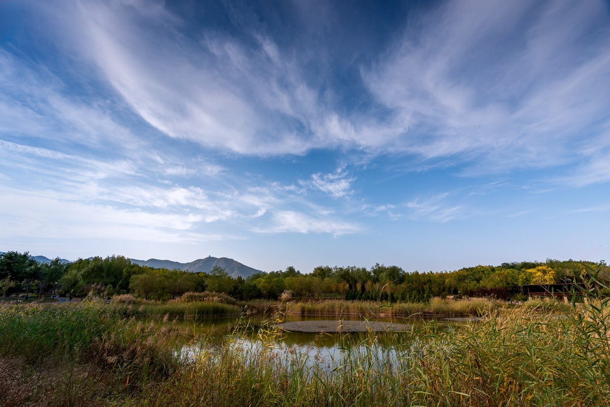 那片土地那片云【1】