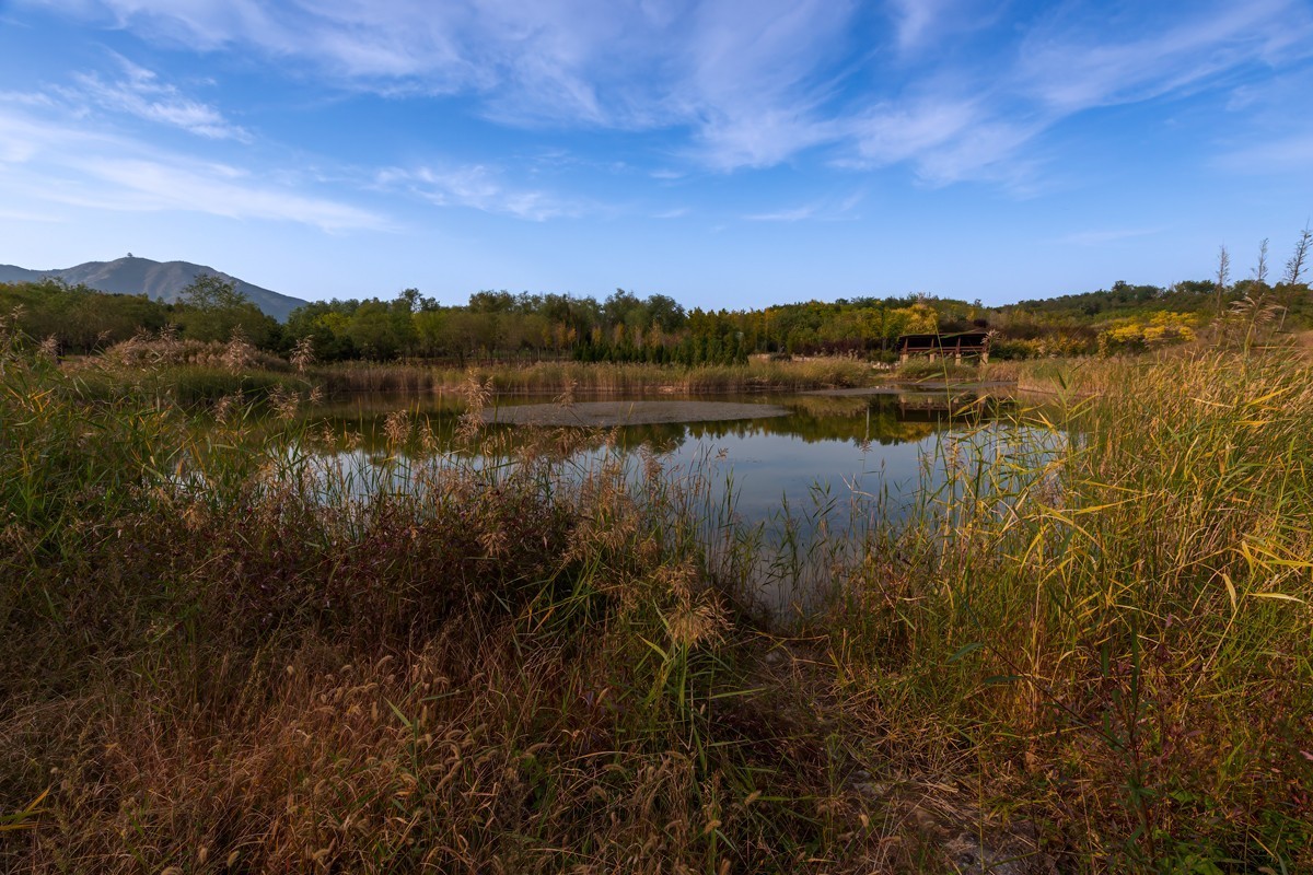 那片土地那片云【1】