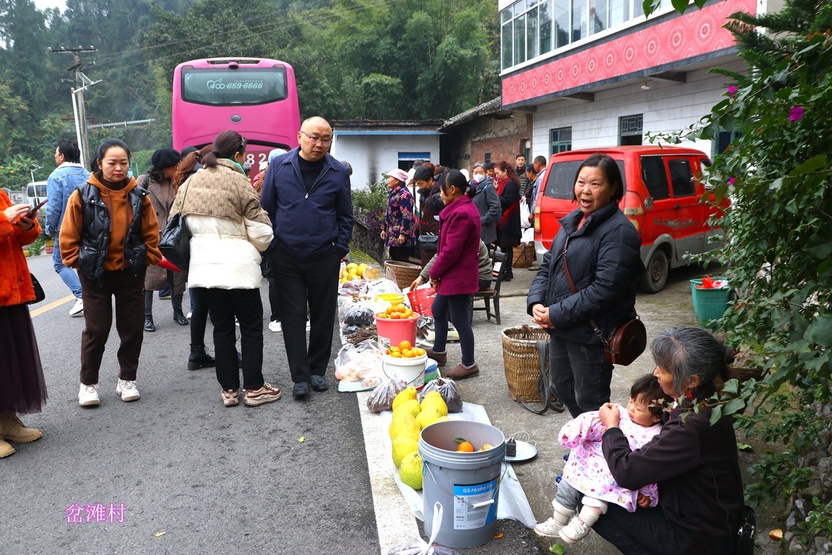 綦江赶水岔滩新农村（一）