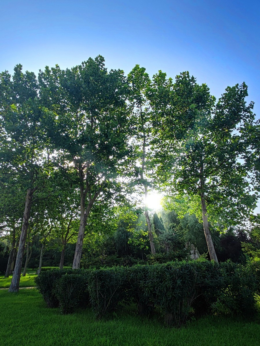 大连快乐海岸和希尔顿酒店周边集锦（第一集）——12P