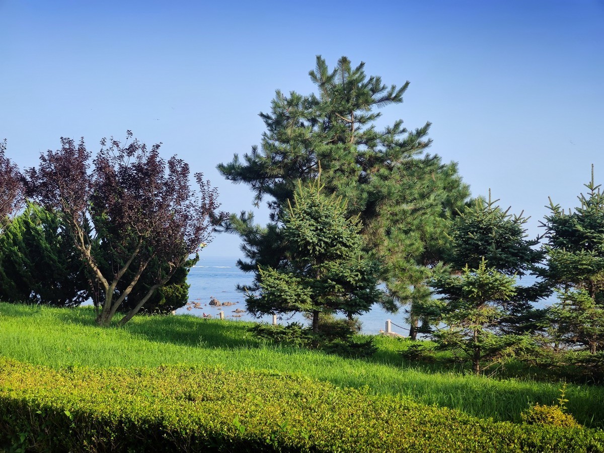 大连快乐海岸和希尔顿酒店周边集锦（第一集）——12P