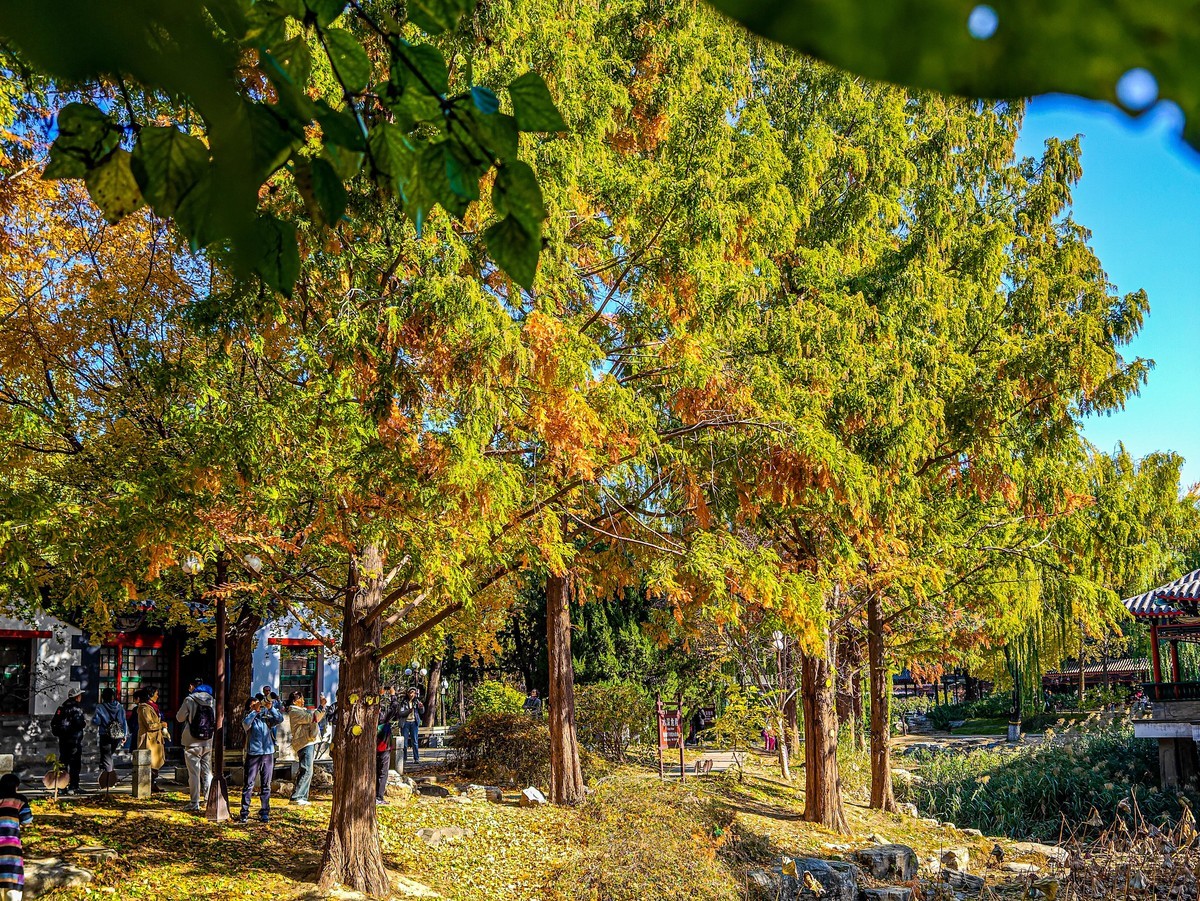 手机游拍20241105《27》