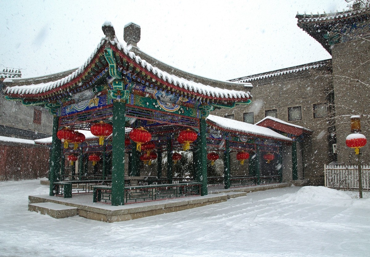 天公再降鹅毛雪  太后重游自家园