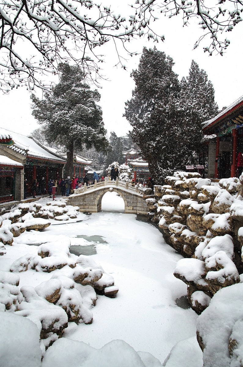 天公再降鹅毛雪  太后重游自家园