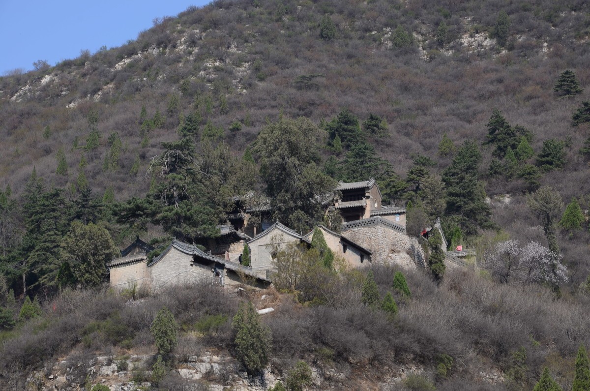 刚学摄影拍的照片